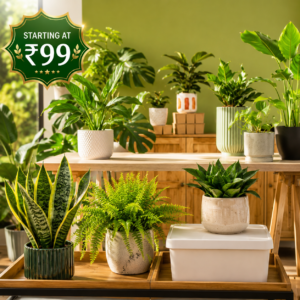 PLANTS