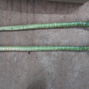 Double Dracaena Cane (Dracaena fragrans)